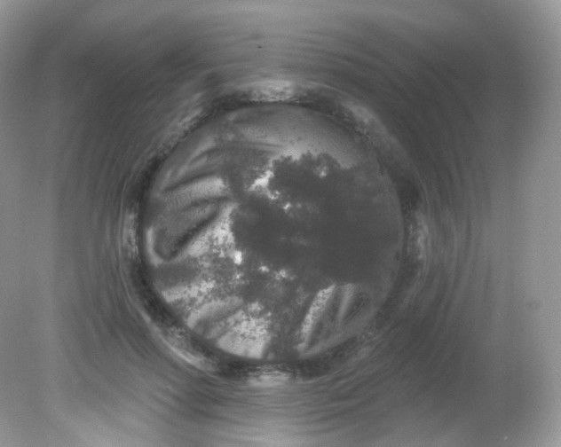 X0000081620598200701291455