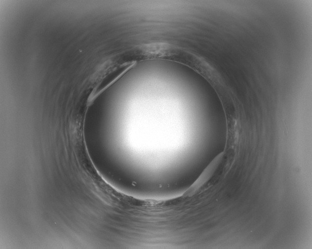 X0000081620601200701291455