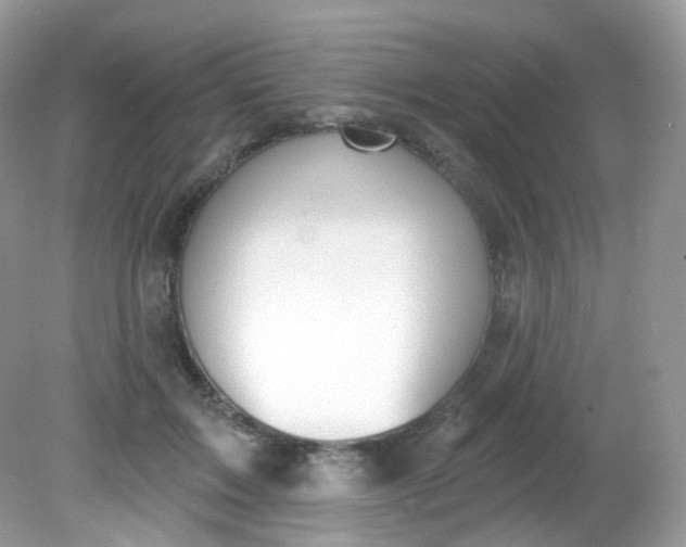 X0000081620603200701291455