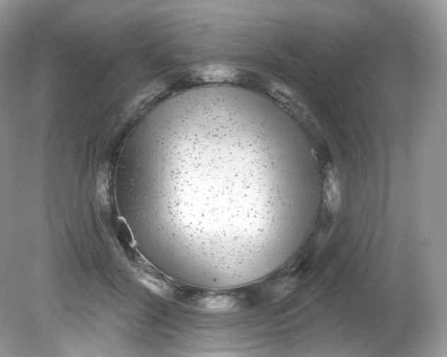X0000081620604200701291455