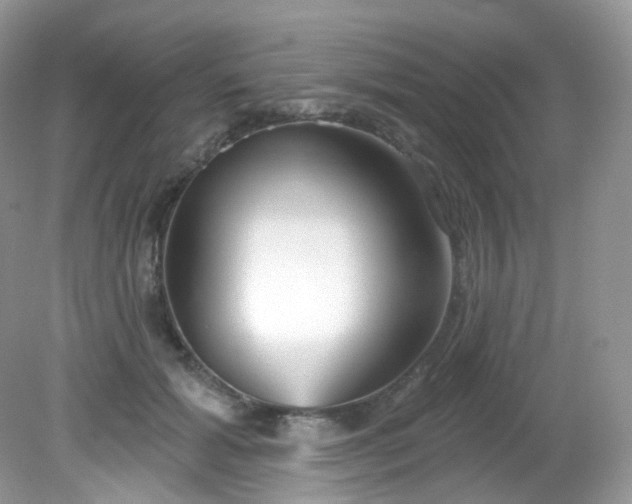 X0000081620605200701291455