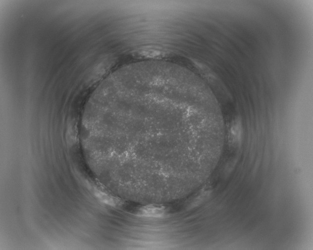 X0000081620606200701291455