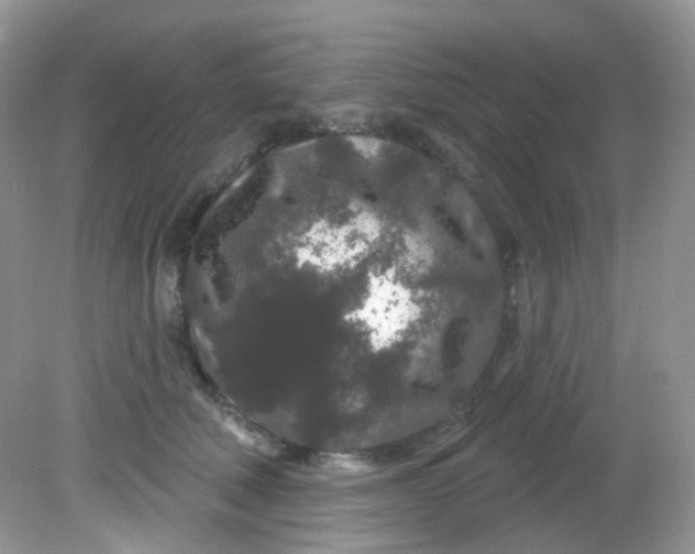 X0000081620610200701291455