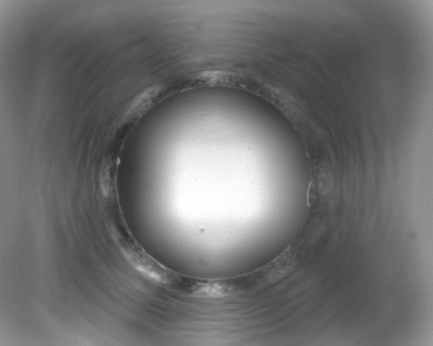 X0000081620611200701291455