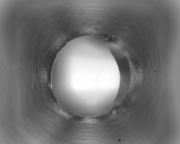 X0000081620617200701291454