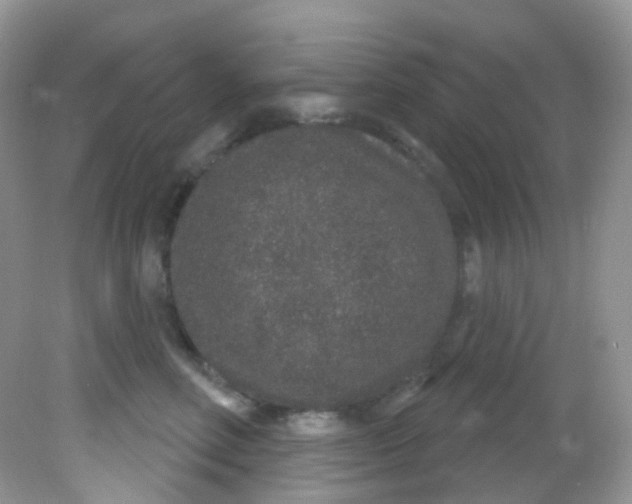 X0000081620618200701291454
