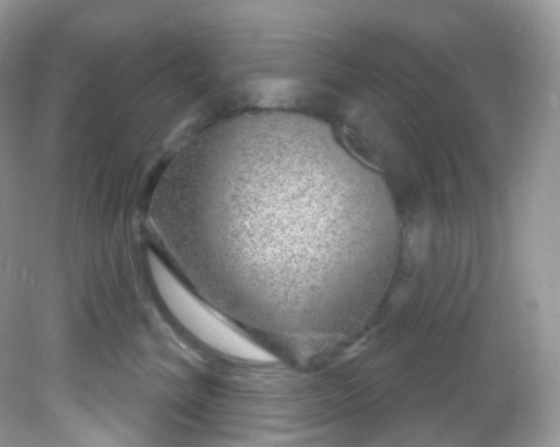 X0000081620620200701291454