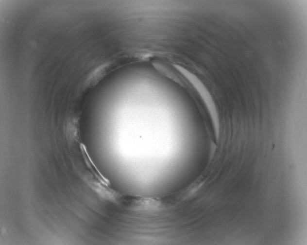 X0000081620621200701291454