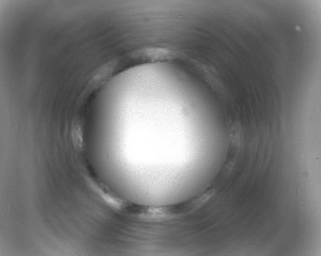 X0000081620622200701291454