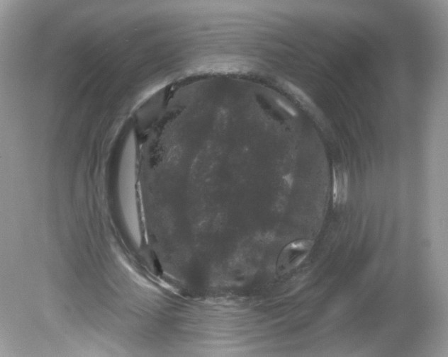 X0000081620627200701291454