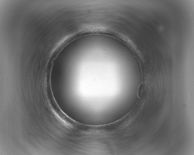 X0000081620629200701291454