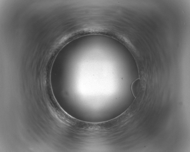X0000081620631200701291454