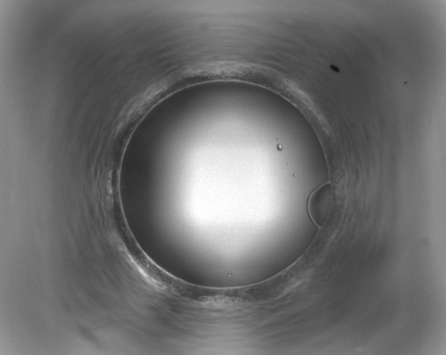 X0000081620633200701291454