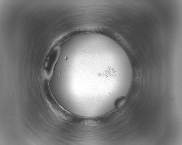 X0000081620636200701291454