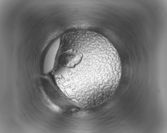 X0000081620638200701291454
