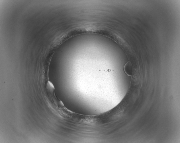 X0000081620639200701291454