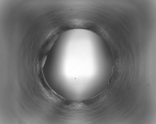 X0000081620642200701291454