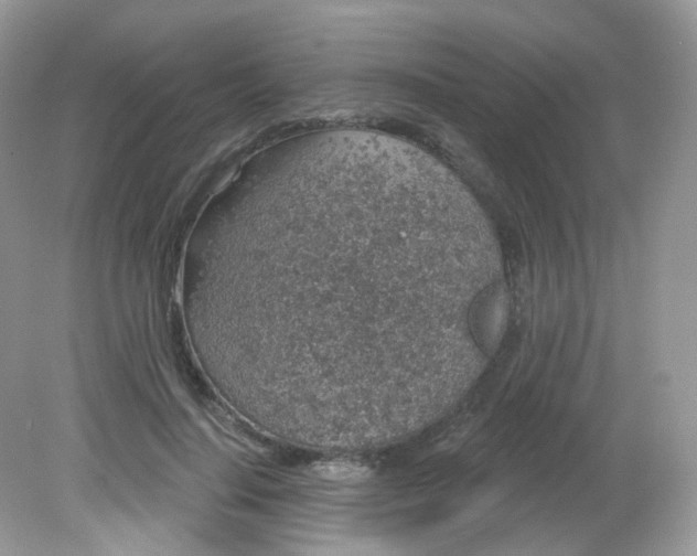 X0000081620644200701291454