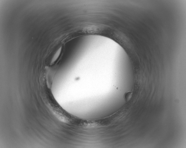X0000081620645200701291454