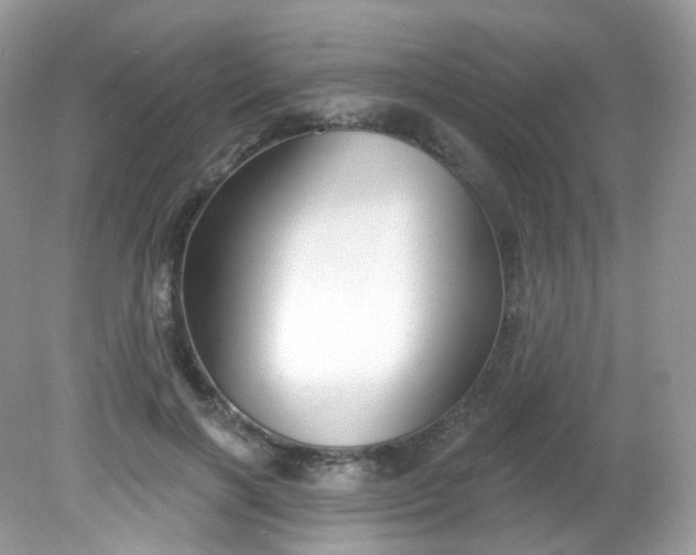 X0000081620646200701291454