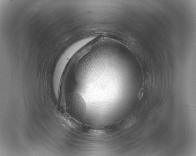 X0000081620649200701291454