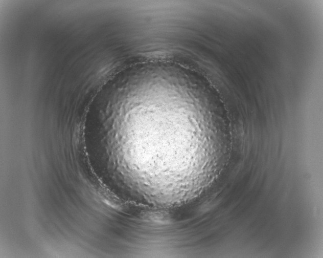 X0000081620652200701291454