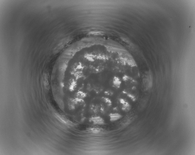 X0000081620654200701291454