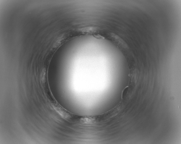 X0000081620660200701291454