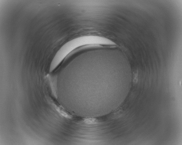 X0000081620666200701291454