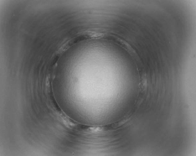 X0000081620667200701291454
