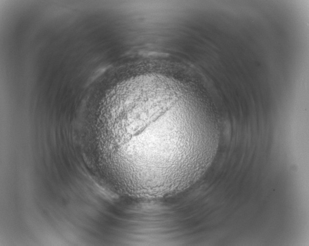 X0000081620668200701291454