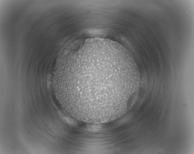 X0000081620671200701291454