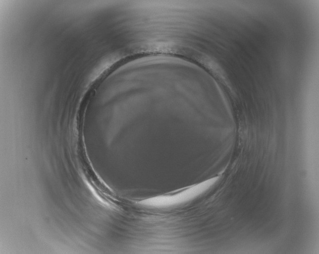 X0000081620674200701291453