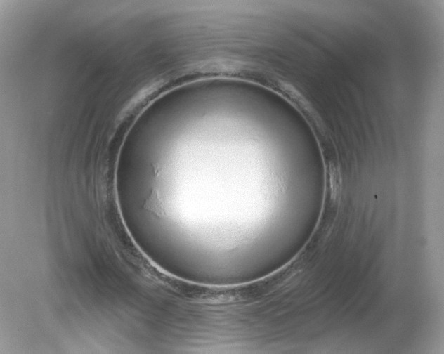 X0000081620675200701291453