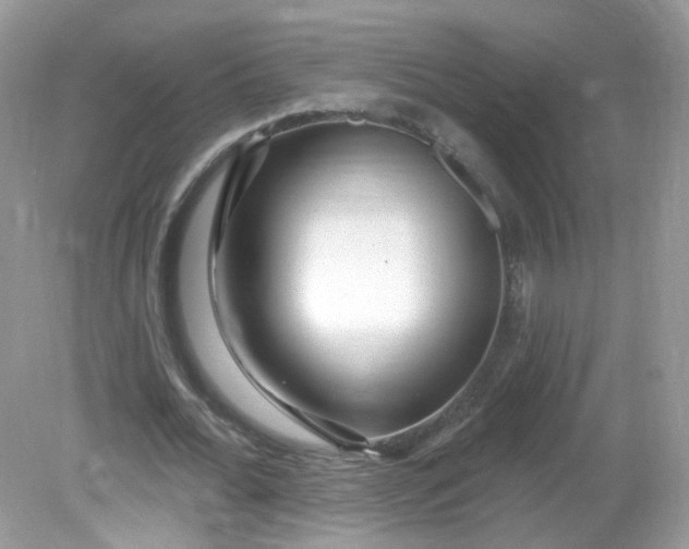 X0000081620676200701291453