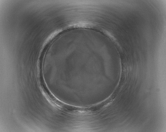 X0000081620678200701291453