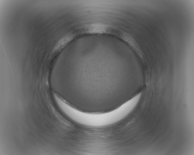 X0000081620681200701291453