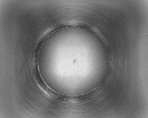 X0000081620683200701291453