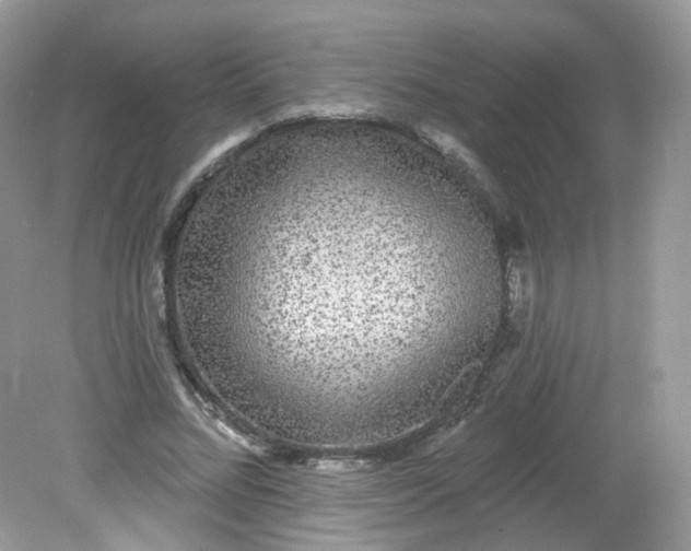 X0000081620684200701291453