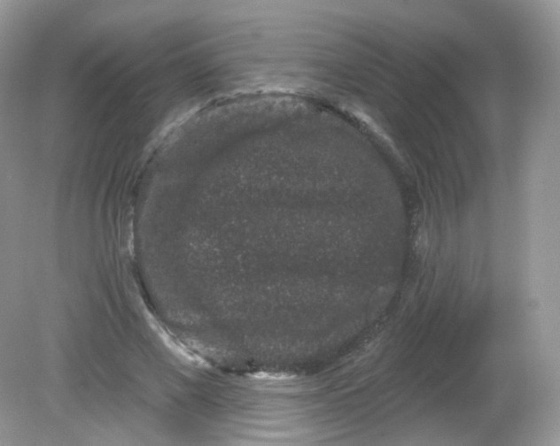 X0000081620685200701291453