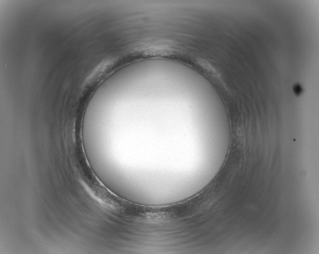 X0000081620686200701291453