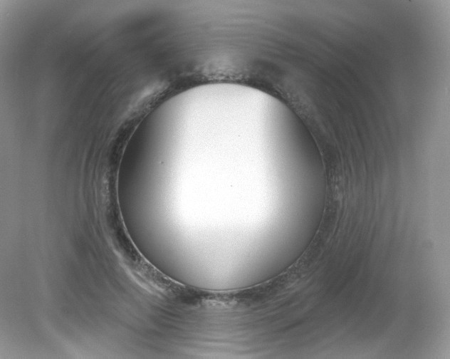 X0000081620690200701291453
