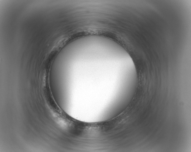X0000081620694200701291453