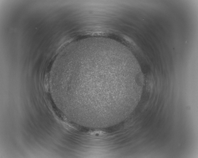 X0000081620695200701291453