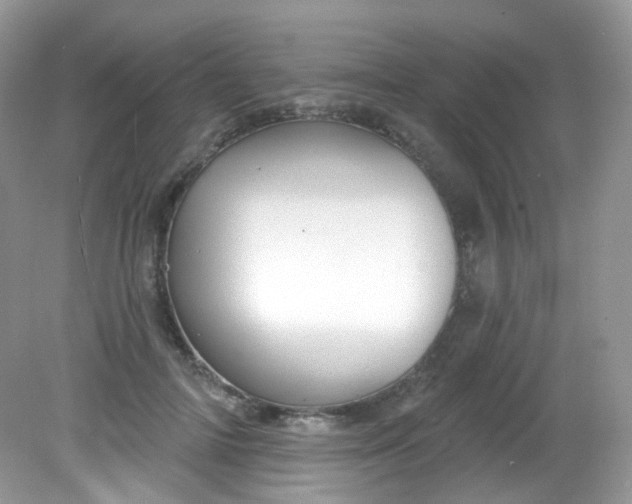 X0000081620698200701291453