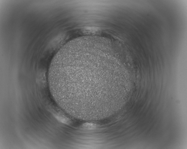 X0000081620699200701291453