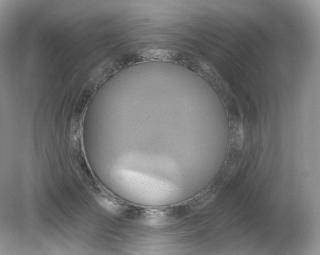 X0000081620701200701291453