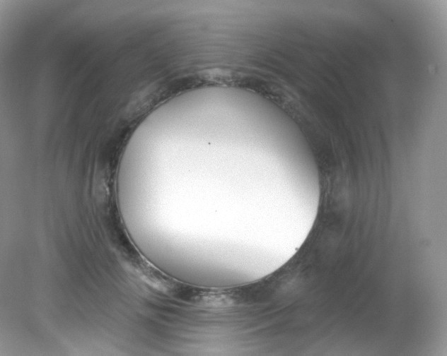 X0000081620702200701291453
