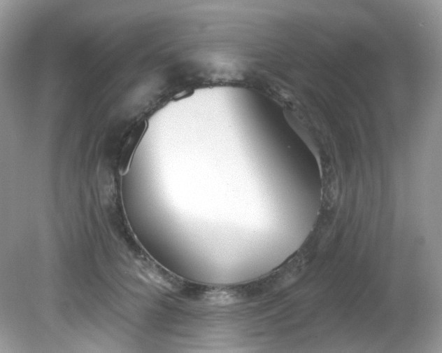 X0000081620704200701291453