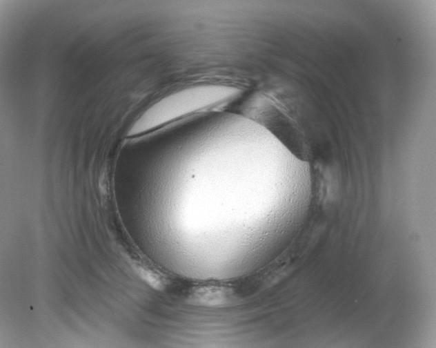 X0000081620708200701291453